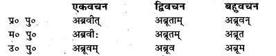 Bihar Board Class 7 Sanskrit व्याकरण धातु-रूपाणि 45