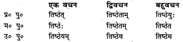 Bihar Board Class 7 Sanskrit व्याकरण धातु-रूपाणि 5