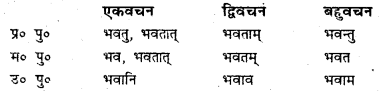 Bihar Board Class 7 Sanskrit व्याकरण धातु-रूपाणि 7