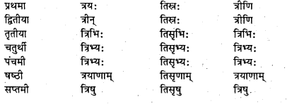 Bihar Board Class 7 Sanskrit व्याकरण शब्दरूपाणि 21