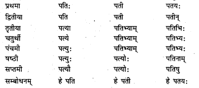 Bihar Board Class 7 Sanskrit व्याकरण शब्दरूपाणि 3