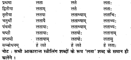 Bihar Board Class 7 Sanskrit व्याकरण शब्दरूपाणि 6