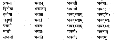 Bihar Board Class 7 Sanskrit व्याकरण शब्दरूपाणि 9