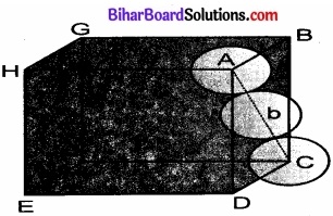 Bihar Board Class 12 Chemistry Solutions Chapter 1 ठोस अवस्था