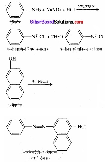 BIhar Board Class 12 Chemistry Chapter 13 ऐमीन img-14