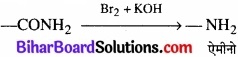 BIhar Board Class 12 Chemistry Chapter 13 ऐमीन img-27