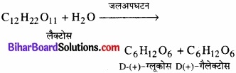BIhar Board Class 12 Chemistry Chapter 14 जैव-अणु img-1