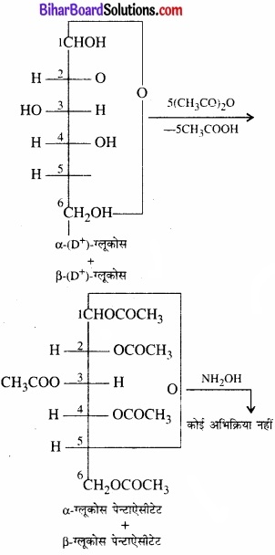 BIhar Board Class 12 Chemistry Chapter 14 जैव-अणु img-2