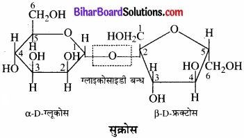 BIhar Board Class 12 Chemistry Chapter 14 जैव-अणु img-5