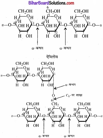 BIhar Board Class 12 Chemistry Chapter 14 जैव-अणु img-6