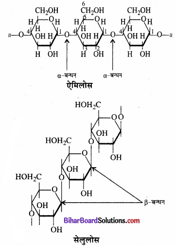 BIhar Board Class 12 Chemistry Chapter 14 जैव-अणु img-8