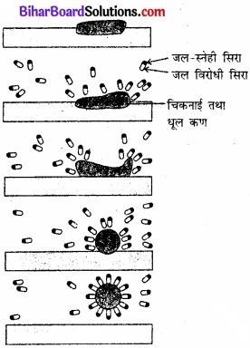 BIhar Board Class 12 Chemistry Chapter 16 दैनिक जीवन में रसायन img-9