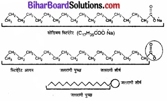 BIhar Board Class 12 Chemistry Chapter 5 पृष्ठ रसायन 11