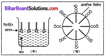 BIhar Board Class 12 Chemistry Chapter 5 पृष्ठ रसायन 12