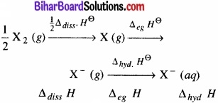 BIhar Board Class 12 Chemistry Chapter 7 p-ब्लॉक के तत्त्व img 11