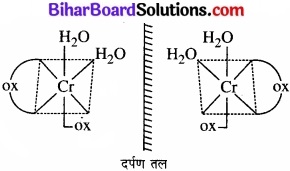 BIhar Board Class 12 Chemistry Chapter 9 उपसहसंयोजन यौगिक img 2