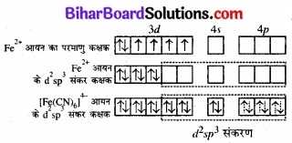 BIhar Board Class 12 Chemistry Chapter 9 उपसहसंयोजन यौगिक img 24