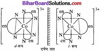 BIhar Board Class 12 Chemistry Chapter 9 उपसहसंयोजन यौगिक img 3