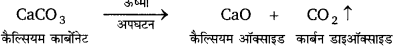 Bihar Board Class 10 Science Solutions Chapter 1 रासायनिक अभिक्रियाएँ एवं समीकरण 