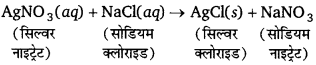 Bihar Board Class 10 Science Solutions Chapter 1 रासायनिक अभिक्रियाएँ एवं समीकरण 