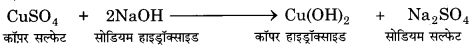 Bihar Board Class 10 Science Solutions Chapter 1 रासायनिक अभिक्रियाएँ एवं समीकरण 