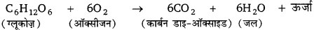 Bihar Board Class 10 Science Solutions Chapter 1 रासायनिक अभिक्रियाएँ एवं समीकरण 