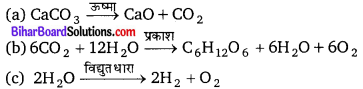 Bihar Board Class 10 Science Solutions Chapter 1 रासायनिक अभिक्रियाएँ एवं समीकरण 