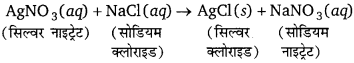 Bihar Board Class 10 Science Solutions Chapter 1 रासायनिक अभिक्रियाएँ एवं समीकरण 