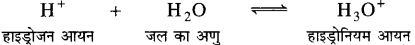 Bihar Board Class 10 Science Solutions Chapter 2 अम्ल, क्षारक एवं लवण 