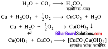 Bihar Board Class 10 Science Solutions Chapter 3 धातु एवं अधातु