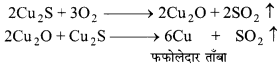 Bihar Board Class 10 Science Solutions Chapter 3 धातु एवं अधातु
