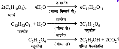 Bihar Board Class 10 Science Solutions Chapter 4 कार्बन एवं इसके यौगिक