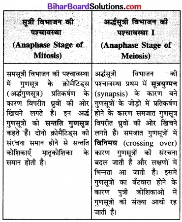 Bihar Board Class 11 Biology Chapter 10 कोशिका चक्र और कोशिका विभाजन 