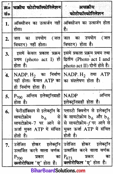 Bihar Board Class 11 Biology Chapter 13 उच्च पादपों में प्रकाश-संश्लेषण 