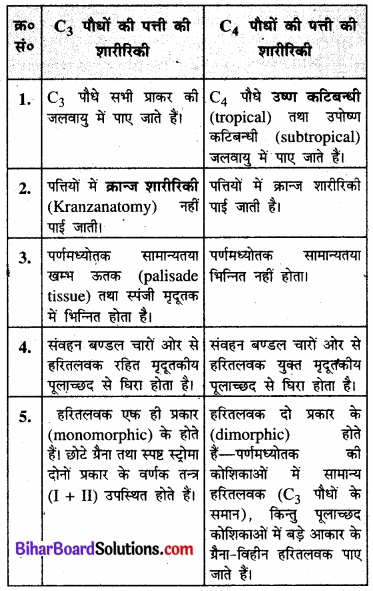 Bihar Board Class 11 Biology Chapter 13 उच्च पादपों में प्रकाश-संश्लेषण 