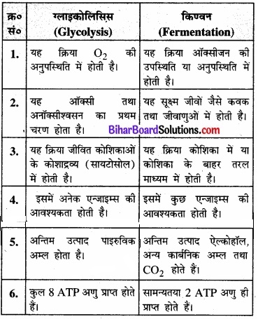 Bihar Board Class 11 Biology Chapter 14 पादप में श्वसन 