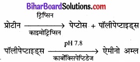Bihar Board Class 11 Biology Chapter 16 पाचन एवं अवशोषण 