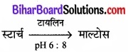 Bihar Board Class 11 Biology Chapter 16 पाचन एवं अवशोषण 