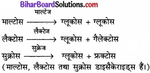 Bihar Board Class 11 Biology Chapter 16 पाचन एवं अवशोषण 
