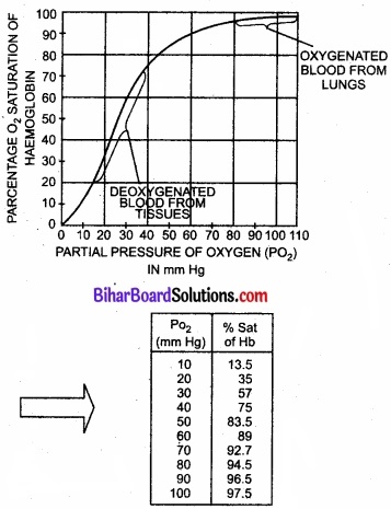 Bihar Board Class 11 Biology Chapter 17 श्वसन और गैसों का विनिमय