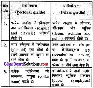 Bihar Board Class 11 Biology Chapter 20 गमन एवं संचलन 