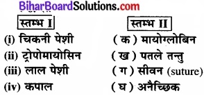 Bihar Board Class 11 Biology Chapter 20 गमन एवं संचलन 
