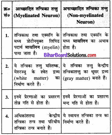 Bihar Board Class 11 Biology Chapter 21 तंत्रिकीय नियंत्रण एवं समन्वय