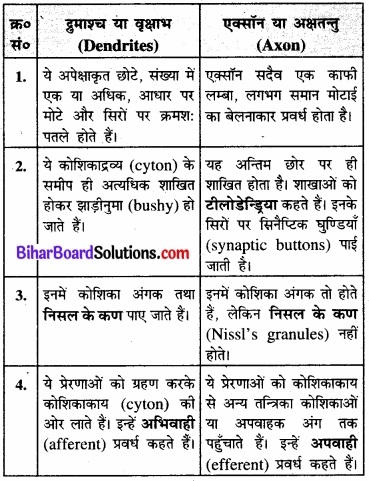 Bihar Board Class 11 Biology Chapter 21 तंत्रिकीय नियंत्रण एवं समन्वय