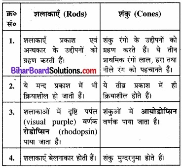Bihar Board Class 11 Biology Chapter 21 तंत्रिकीय नियंत्रण एवं समन्वय