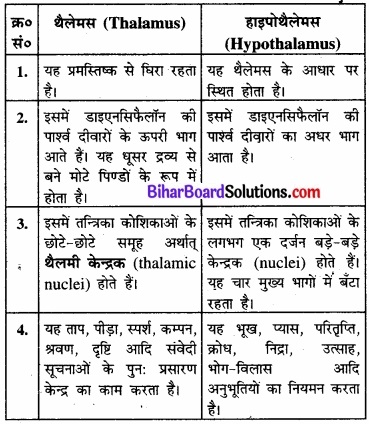 Bihar Board Class 11 Biology Chapter 21 तंत्रिकीय नियंत्रण एवं समन्वय