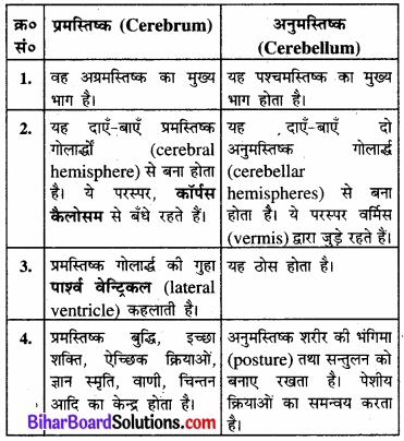 Bihar Board Class 11 Biology Chapter 21 तंत्रिकीय नियंत्रण एवं समन्वय