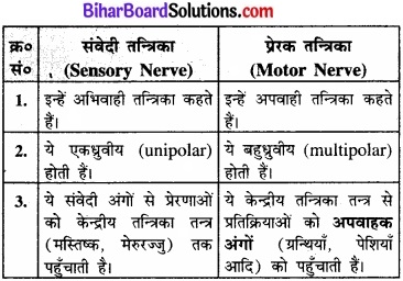 Bihar Board Class 11 Biology Chapter 21 तंत्रिकीय नियंत्रण एवं समन्वय