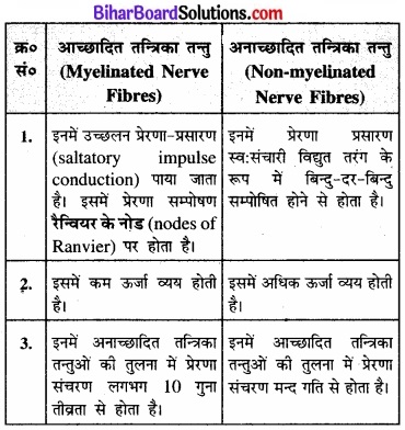 Bihar Board Class 11 Biology Chapter 21 तंत्रिकीय नियंत्रण एवं समन्वय