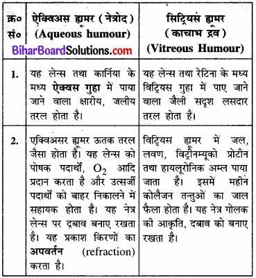 Bihar Board Class 11 Biology Chapter 21 तंत्रिकीय नियंत्रण एवं समन्वय